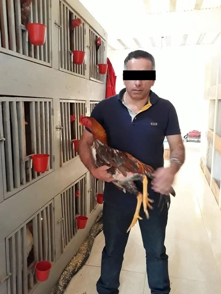 Padre y hermano del adolescente que causó el siniestro fatal en San Vicente, acumulan más de diez causas judiciales.