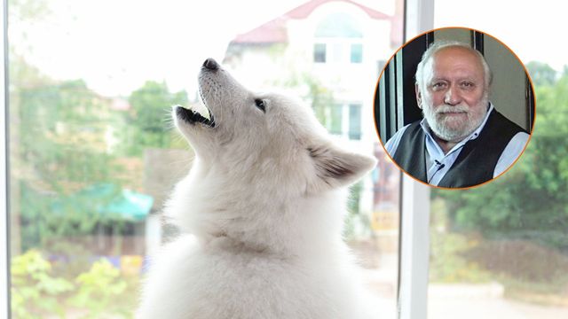 La explicación del veterinario frente a algunos comportamientos de las mascotas.