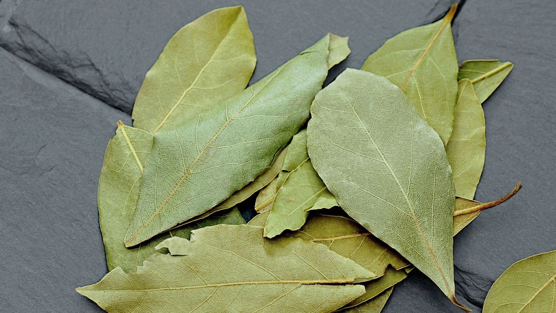 Hojas de laurel.