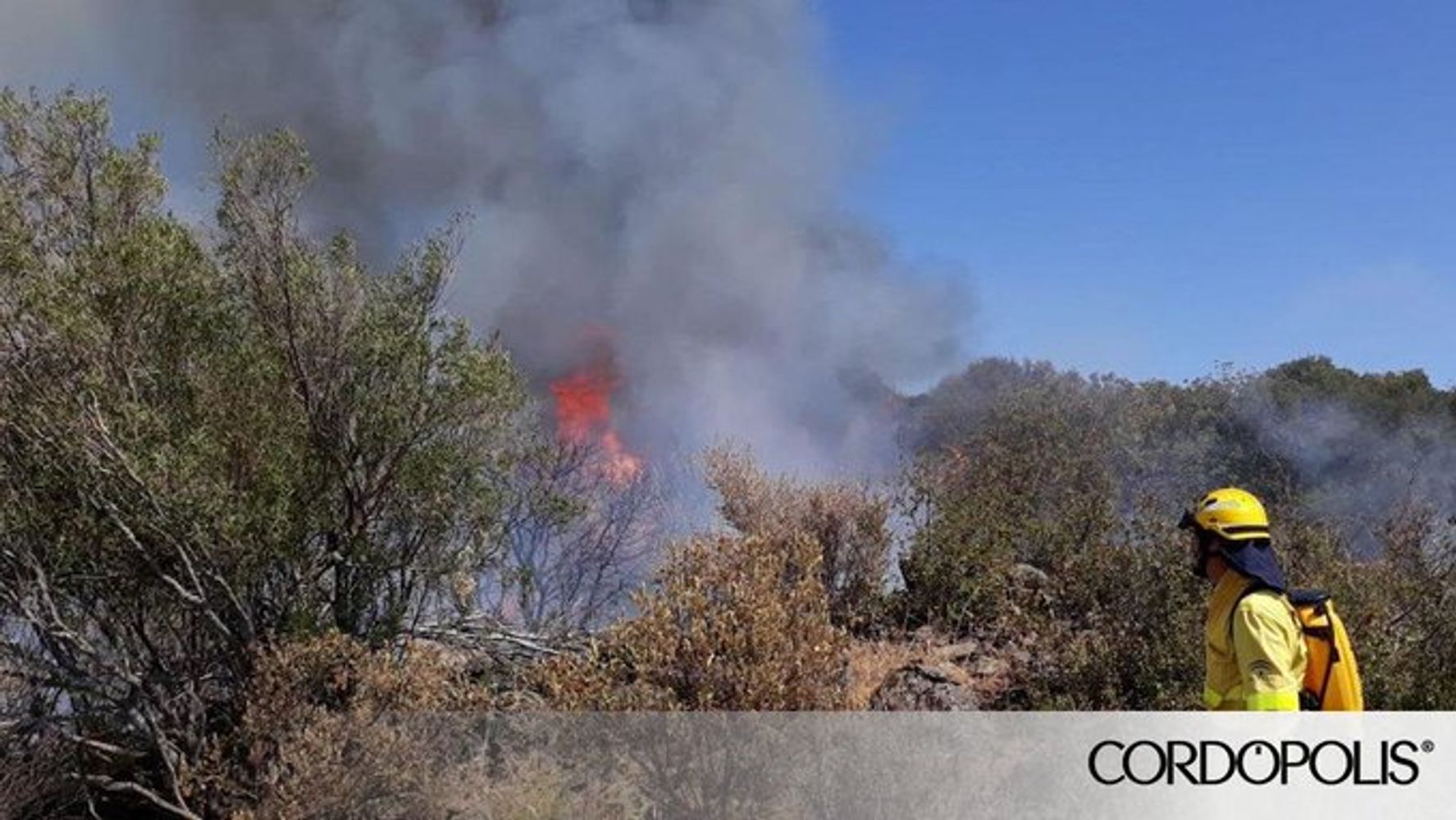Alto riego de incendios forestales en Córdoba.