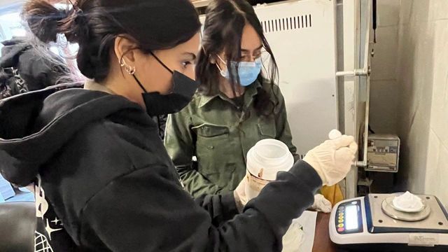 Los alumnos de la UNCA trabajaron todas las etapas del ensayo al fuego hasta obtener los botones de doré.