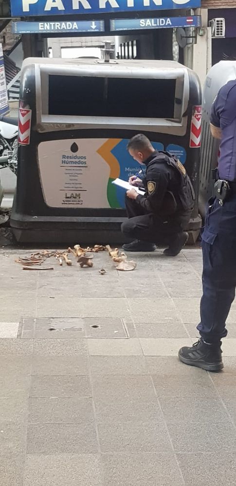 Huesos en Nueva Córdoba.