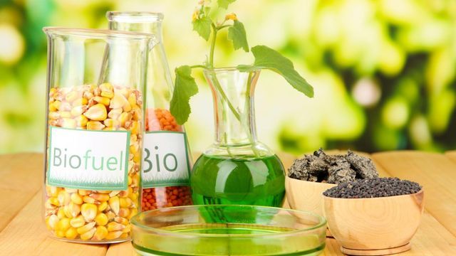  nueva Ley de Biocombustibles