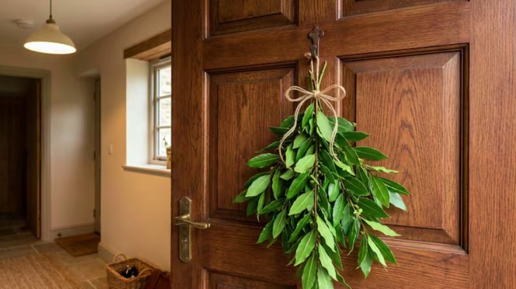 Poner laurel en la entrada de casa en primavera: para qué sirve y por qué lo recomiendan