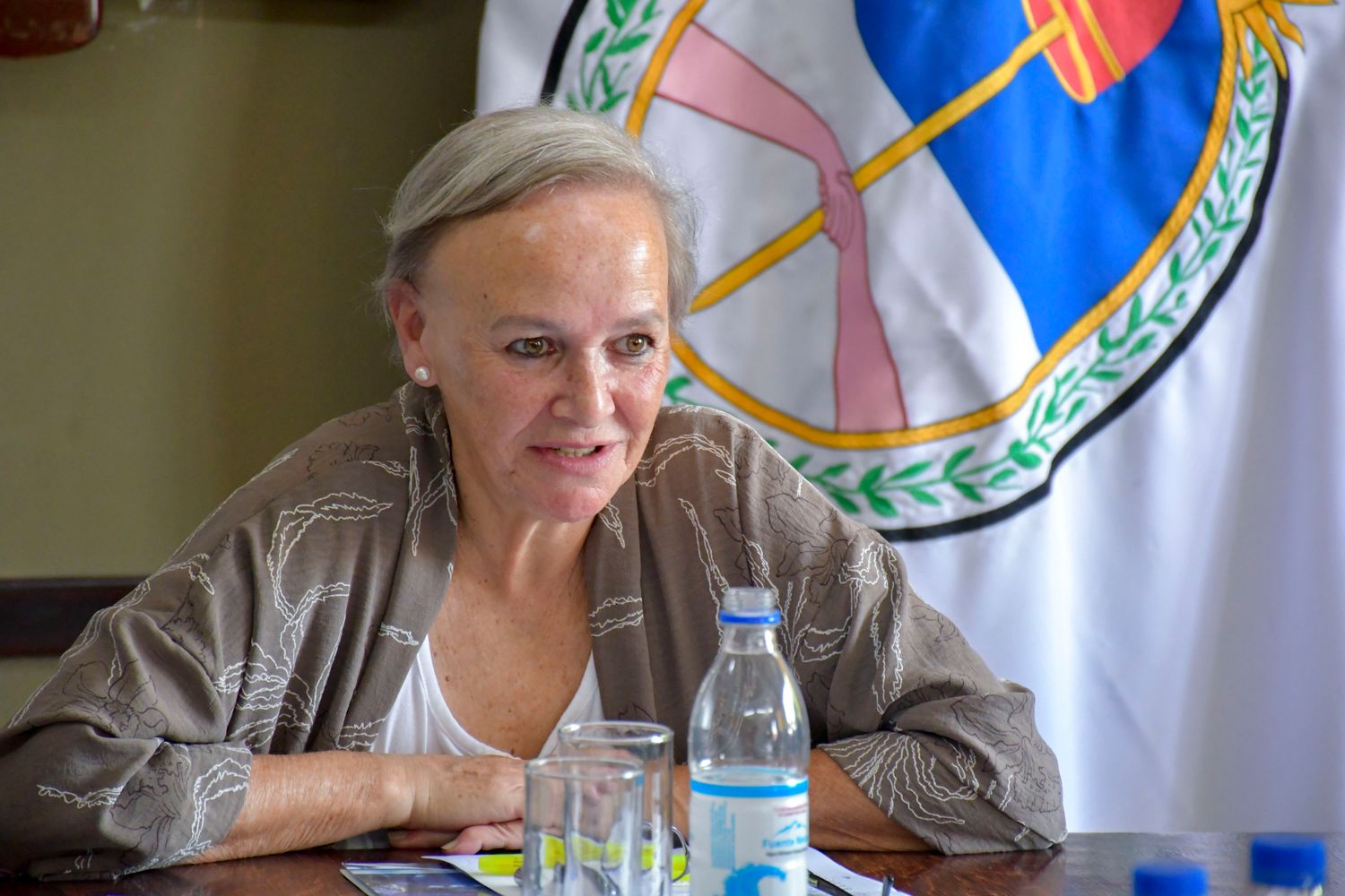 Arquitecta de profesión, la concejal Liliana Giménez preside la Comisión de Obras Públicas del Concejo Deliberante de San Salvador de Jujuy.