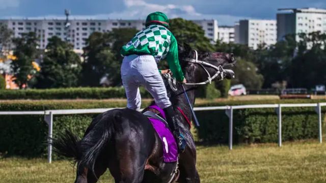 Pintor austríaco: obligan a cambiar el nombre a un caballo de turf por posible referencia a Hitler