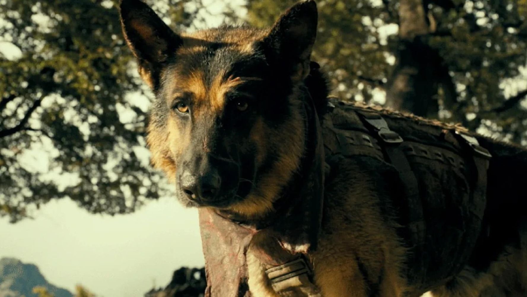 El final de la película revela qué ocurre con Odin después de la muerte de su compañero.