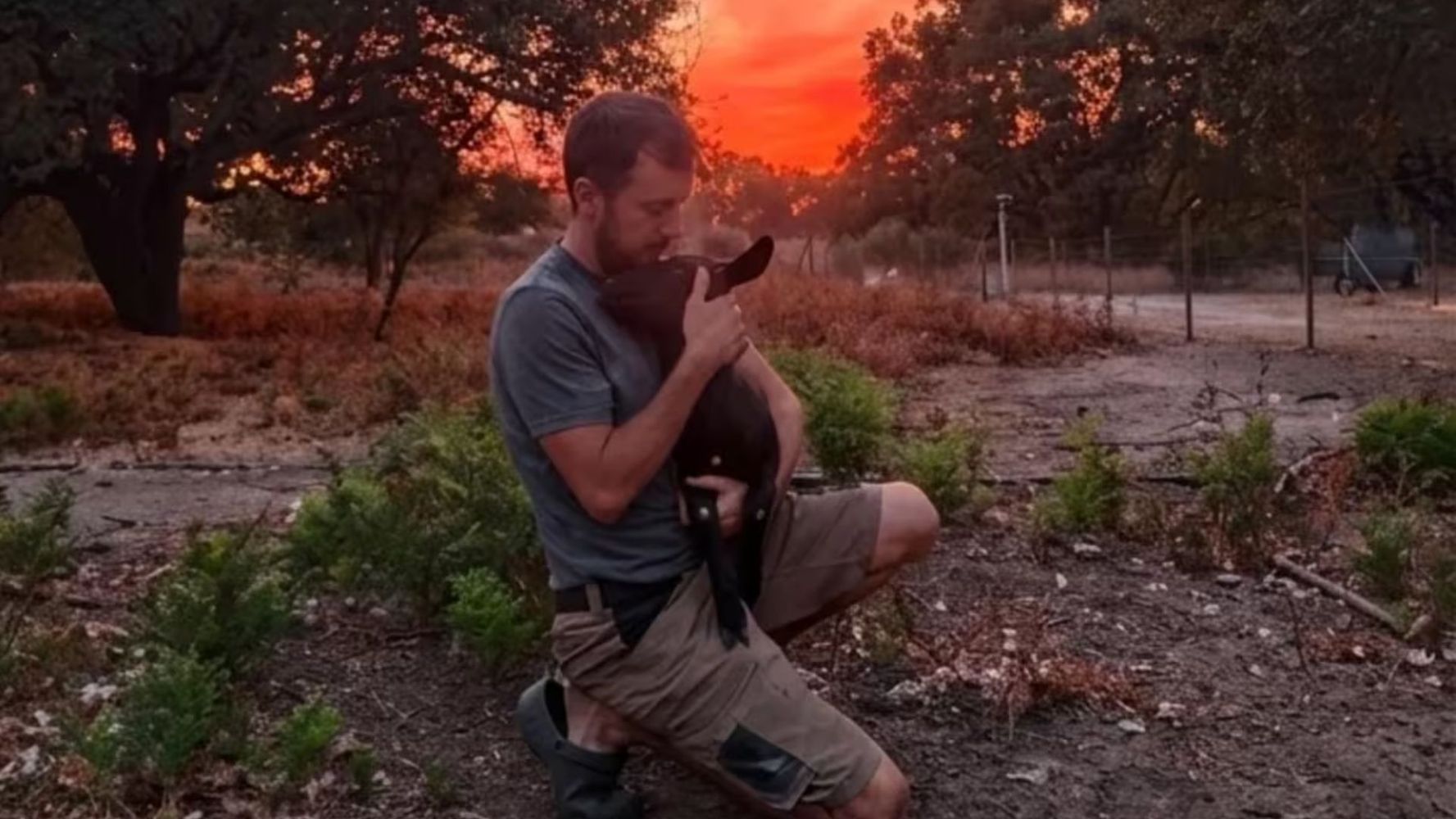 El objetivo es cuidar de animales abandonados.