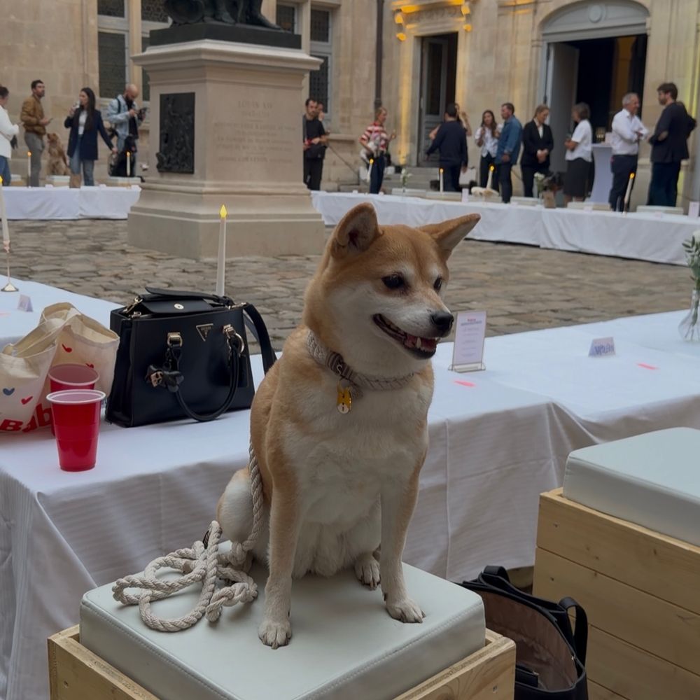 Así se veía la mesa.