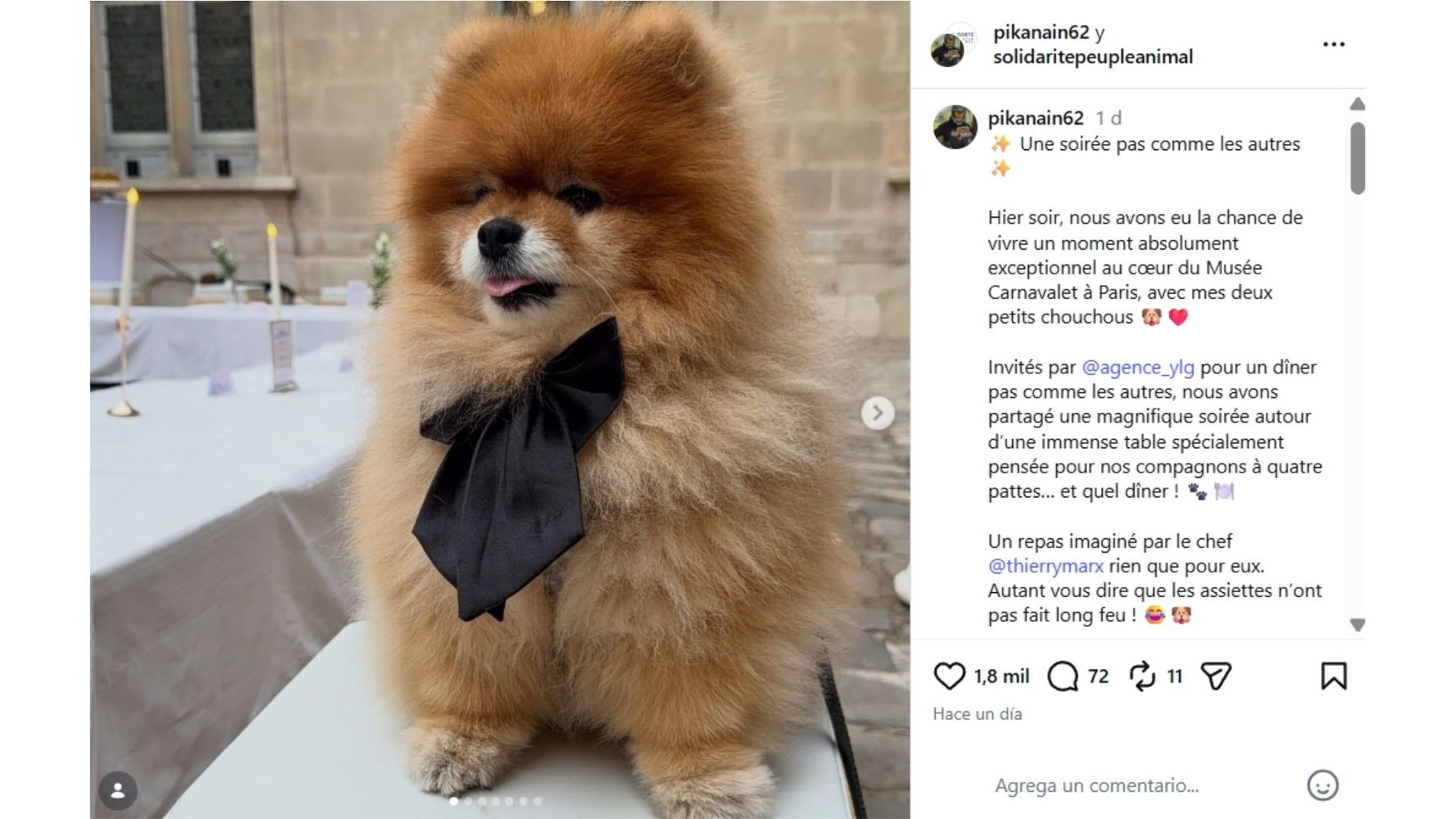 Una de las cuentas que compartió el curioso evento.