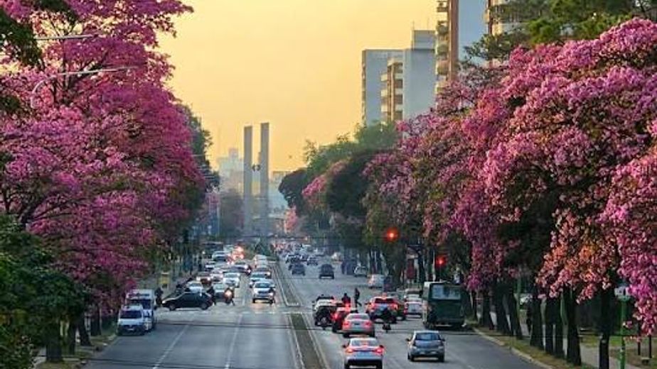 La capital tucumana cumplió 341 años del éxodo de Ibatín
