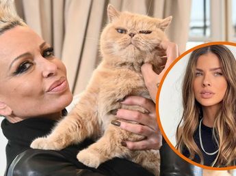 Daniela Cardone llevó a su gata al spa, revelaron que se llama China Suárez y reflotó un viejo rumor sobre Gonzalo Heredia