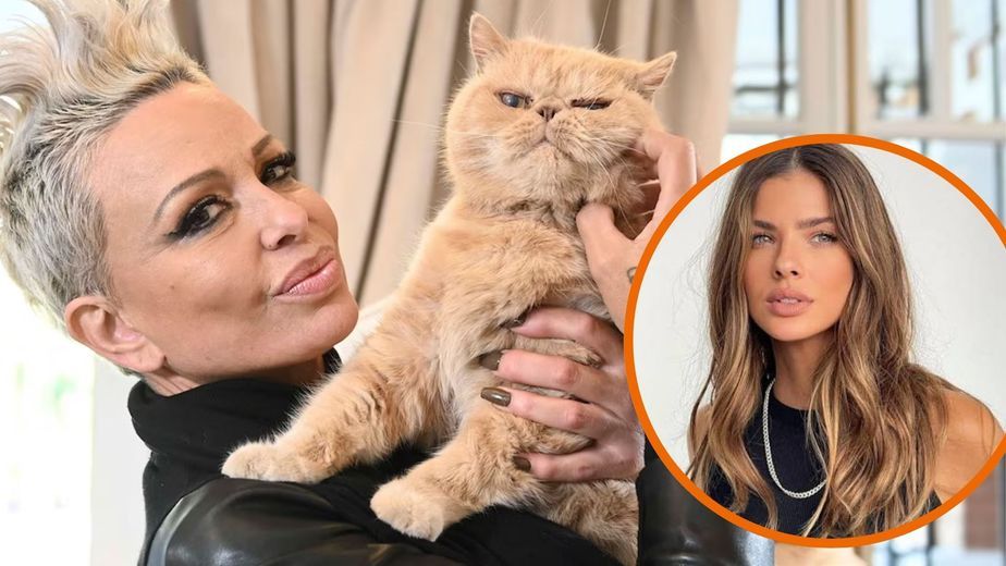 Daniela Cardone llevó a su gata al spa, revelaron que se llama China Suárez y reflotó un viejo rumor sobre Gonzalo Heredia