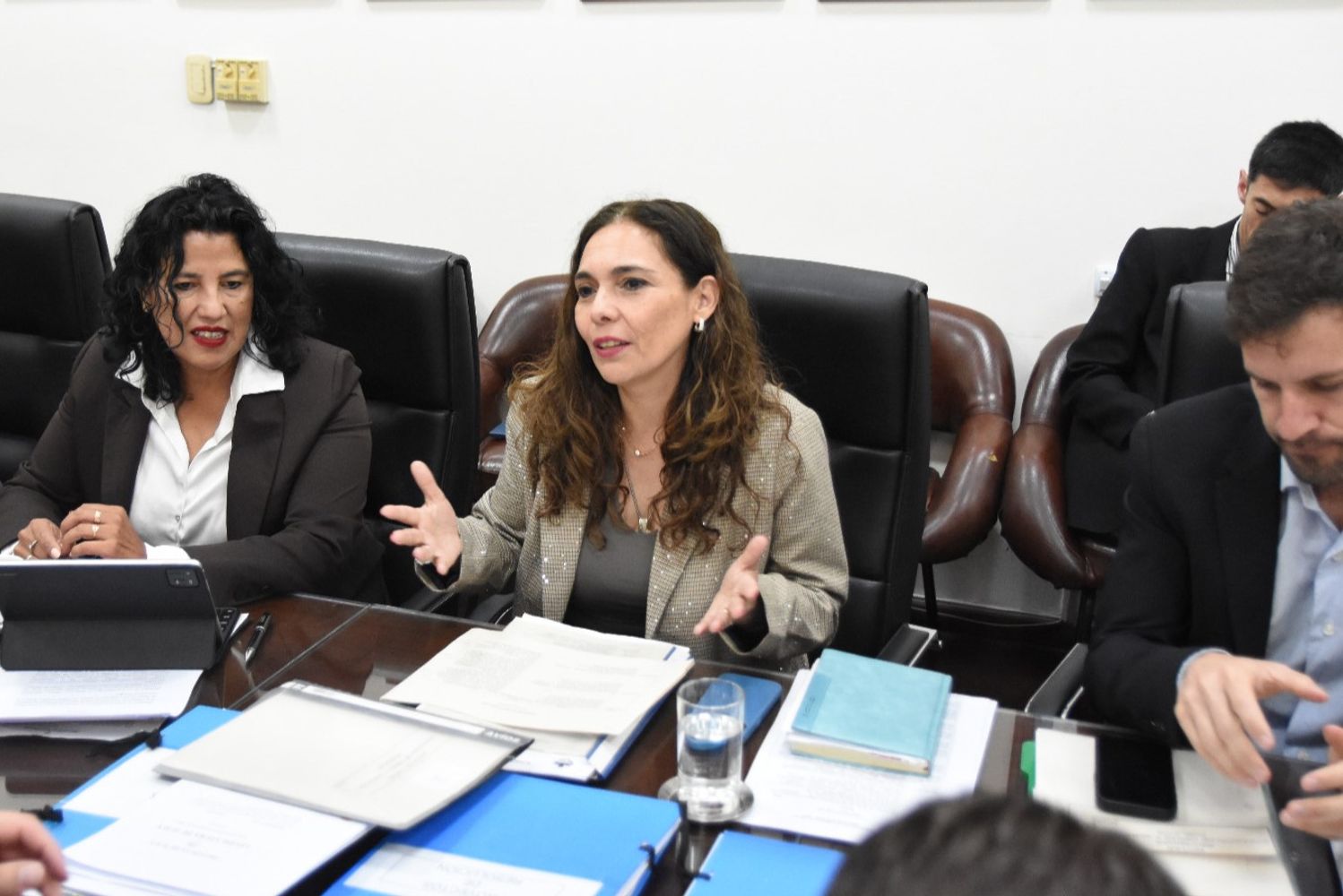 La diputada Isasmendi (al centro) destacó la participación de todos los bloques legislativos en la reunión y el debate constructivo que permitió resolver declaraciones de interés y alcanzar consensos sobre proyectos específicos.
