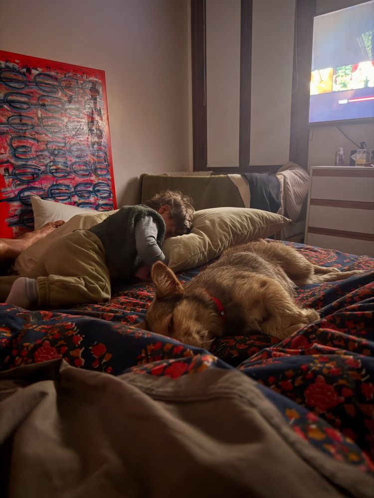 La perrita tiene un año y medio y rápidamente se adaptó a su nuevo hogar.