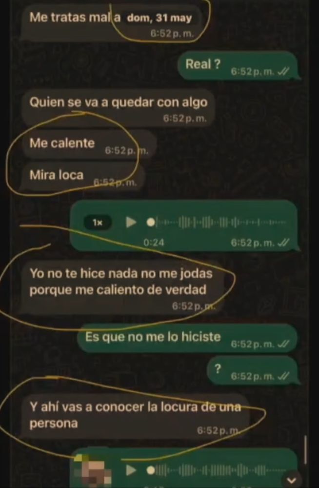 Los chats de la denunciante de Joaquín Levinton a Ayelen Paleo