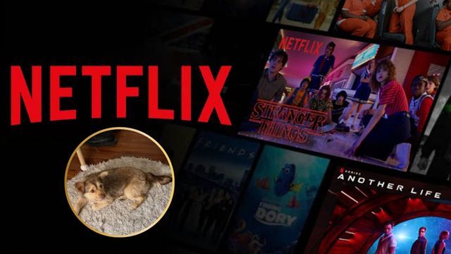 Lucy forma parte de la producción argentina que llegará próximamente a Netflix.