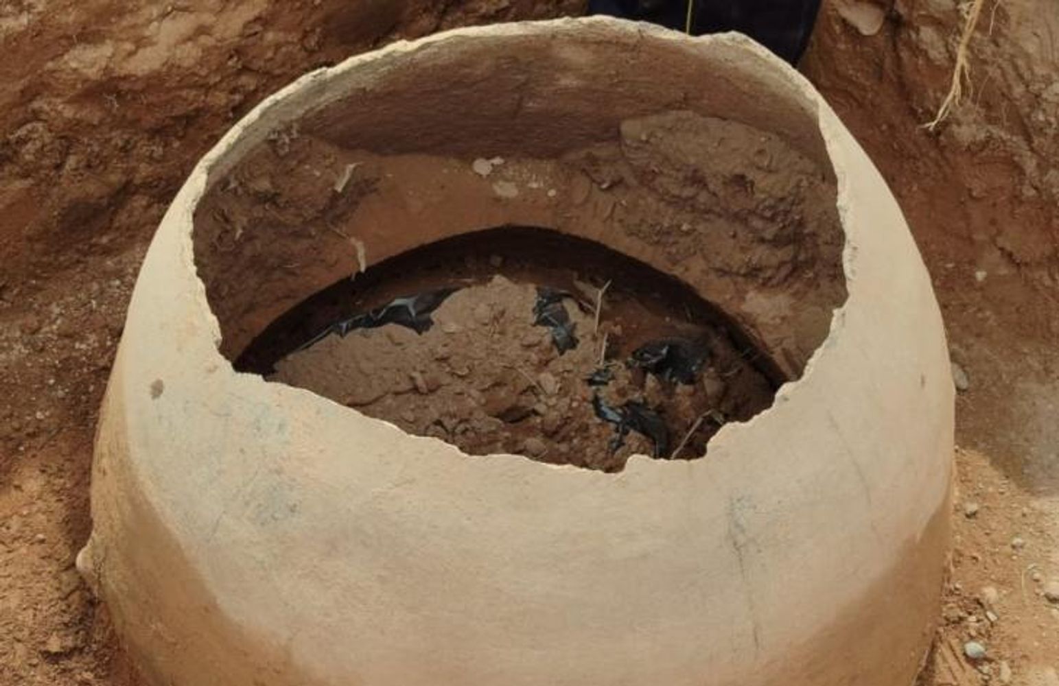 Urnas funerarias con pequeñas vasijas y restos óseos humanos fueron halladas durante el rescate arqueológico.