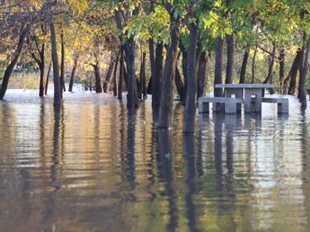 Los ríos muestran señales de calma: conocé los niveles en cada ciudad y qué zonas crecen