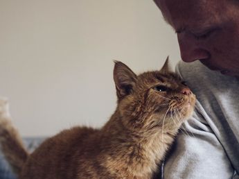 Emiliano Linardi, experto en comportamiento animal: "La persona favorita de un gato es aquella que sabe respetar los límites de su mascota"
