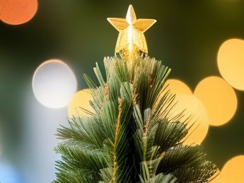 Navidad 2026: el adorno original y elegante que será tendencia y que reemplazará a la tradicional estrella en la punta del arbolito