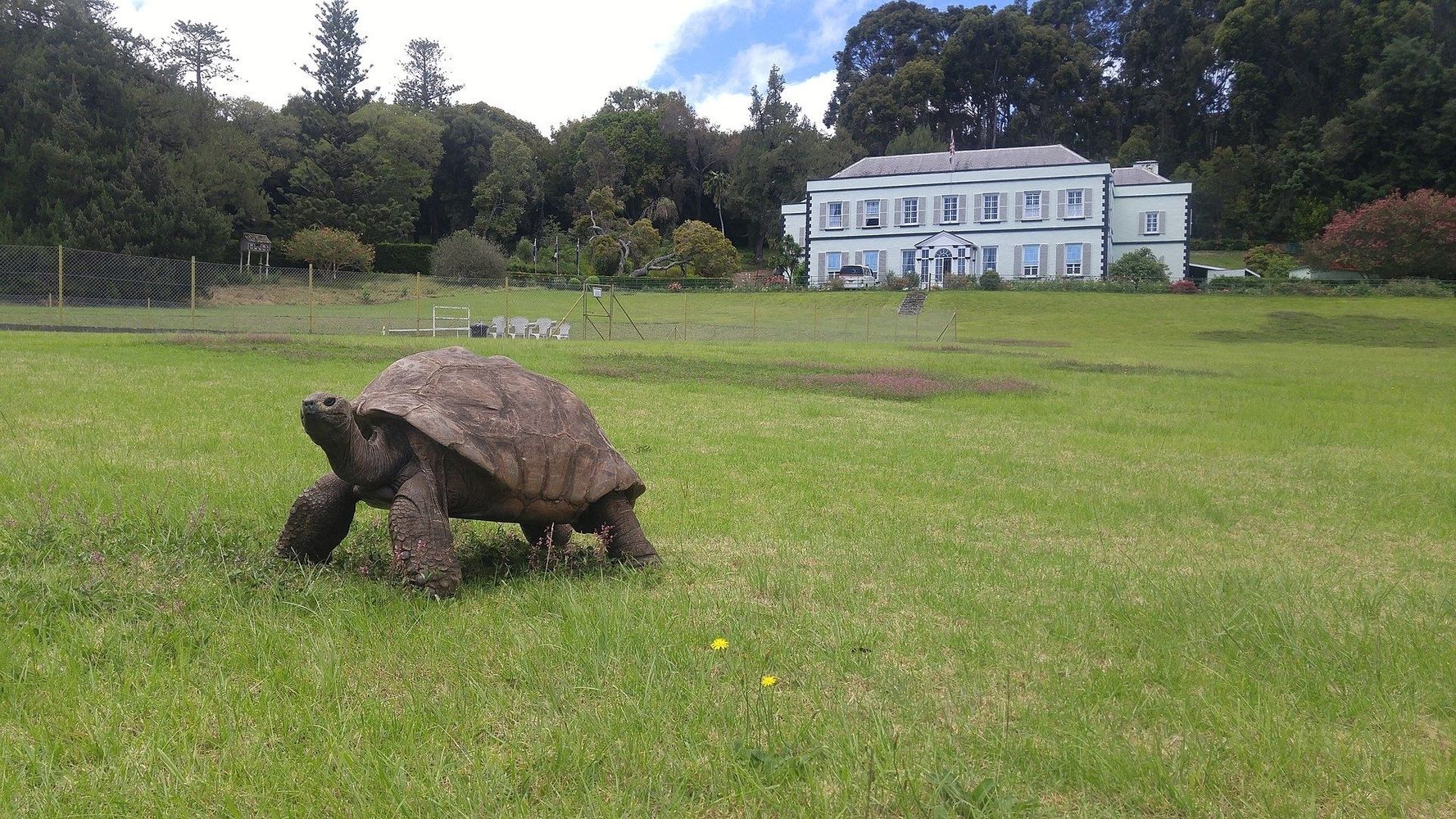 Jonathan, la tortuga de 194 años.