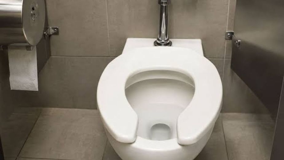 Esta es la verdadera razón de por qué algunos inodoros tienen el asiento abierto en forma de U