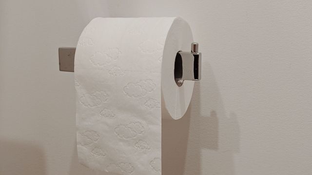 El papel higiénico no va más.