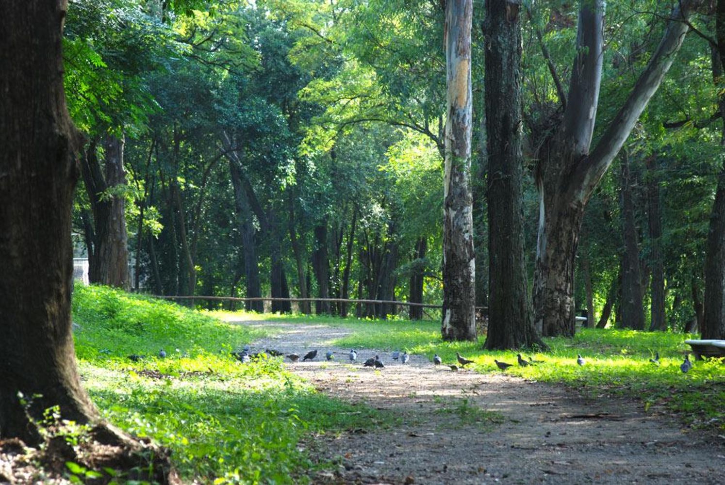 Paisajes únicos en Villa Carlos Paz