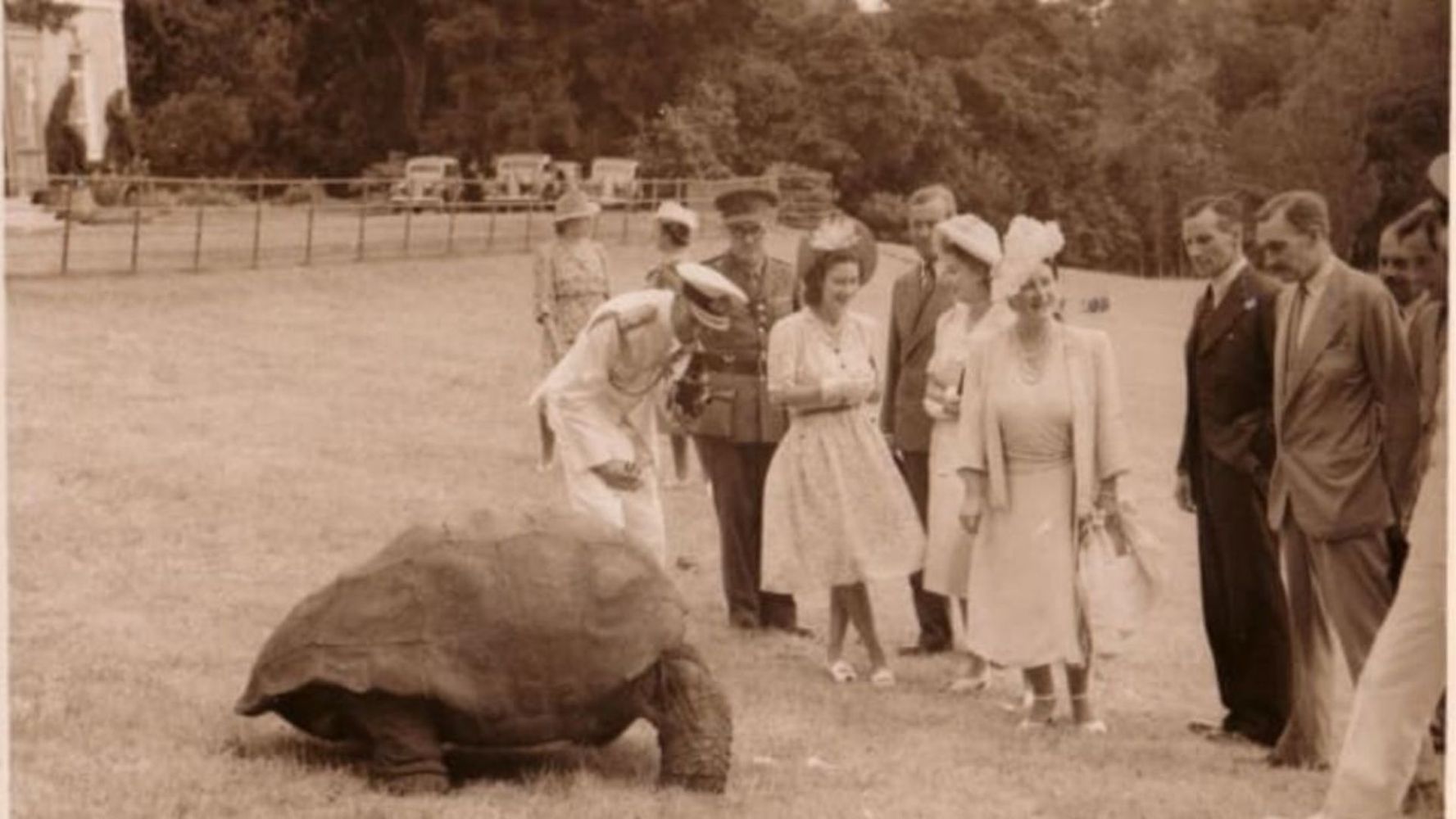 Jonathan, la tortuga de 194 años.