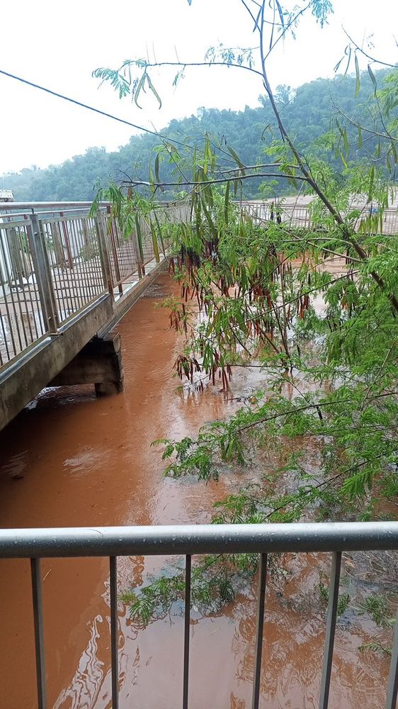 La Policía de Misiones releva zonas inundables y mantiene los controles preventivos ante las intensas lluvias.