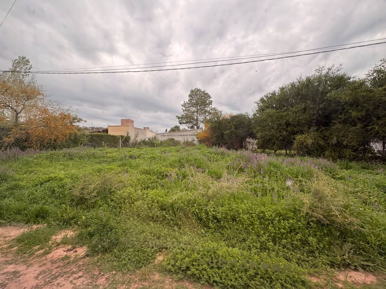 Terrenos abandonados.