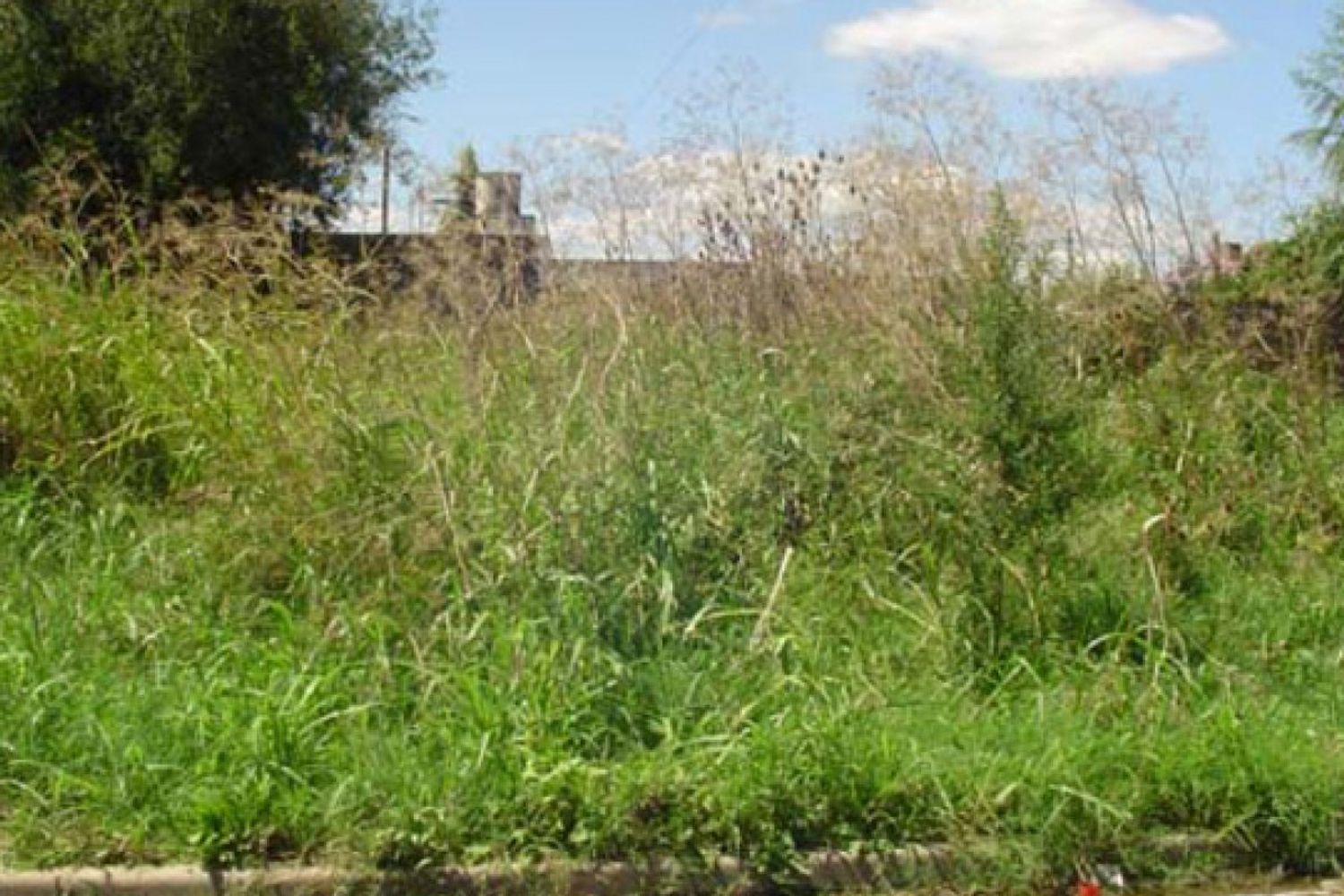 Terrenos abandonados.