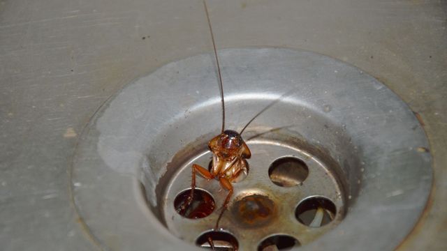El truco casero para eliminar las cucharadas.