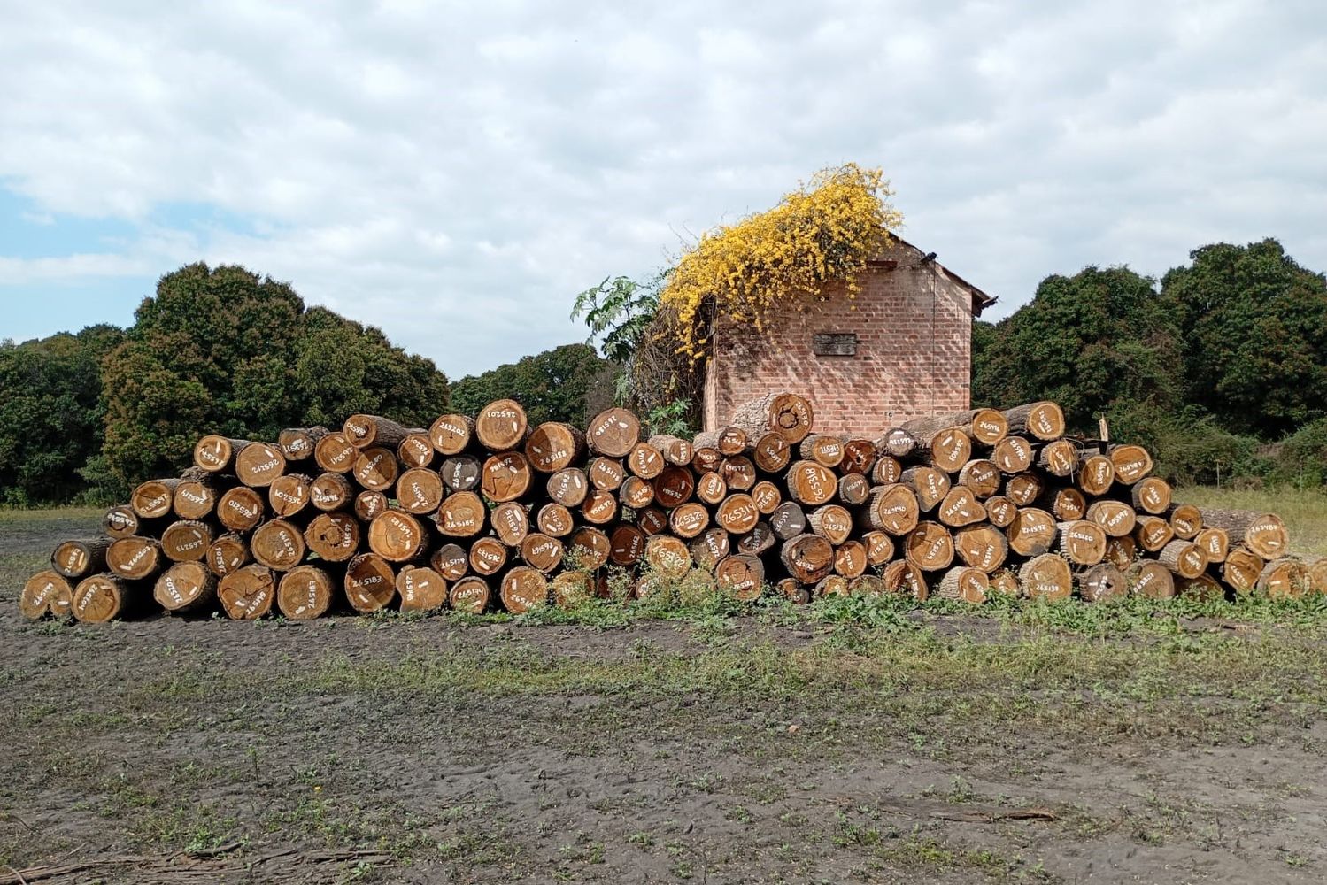 Referentes ambientales, forestales y productivos solicitan una intervención coordinada para proteger áreas estratégicas de conservación en Caimancito y Yuto.