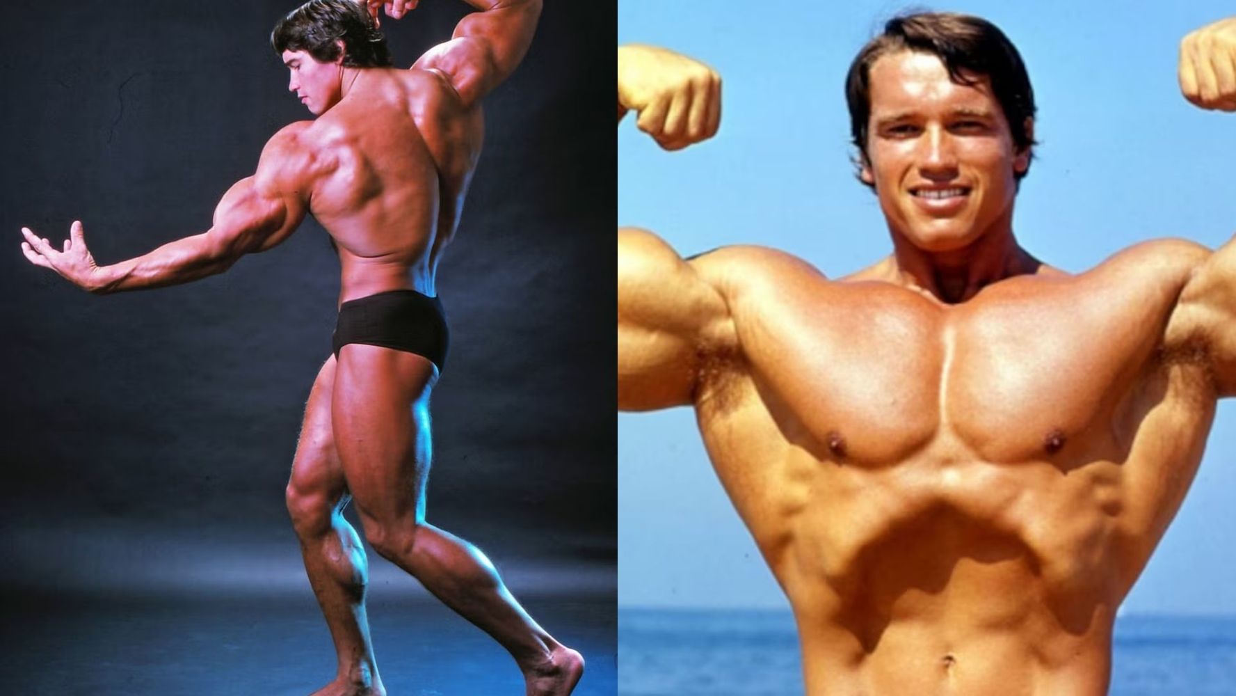Arnold Schwarzenegger.