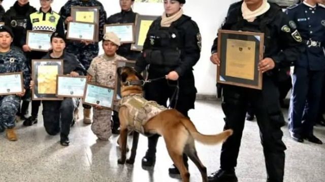 Los cursantes trabajaron en manejo de canes detectores, bienestar animal, sistema olfativo y condicionamiento.