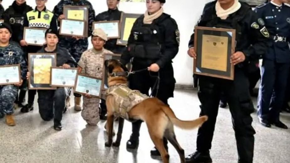 Curso nacional K9: 8 provincias entrenan en Las Talitas