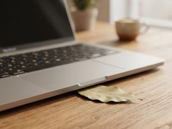 Poner hojas secas de laurel debajo del teclado de la computadora: para qué sirve y por qué lo recomiendan