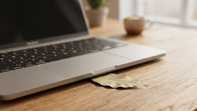Para qué sirve poner una hoja de laurel debajo del teclado o la computadora.
