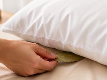 Colocar una hoja de laurel seca debajo de la almohada antes de acostarte: para qué sirve y por qué lo recomiendan
