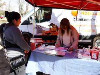 Comienza la vacunación antirrábica en Villa Carlos Paz: fechas y lugares