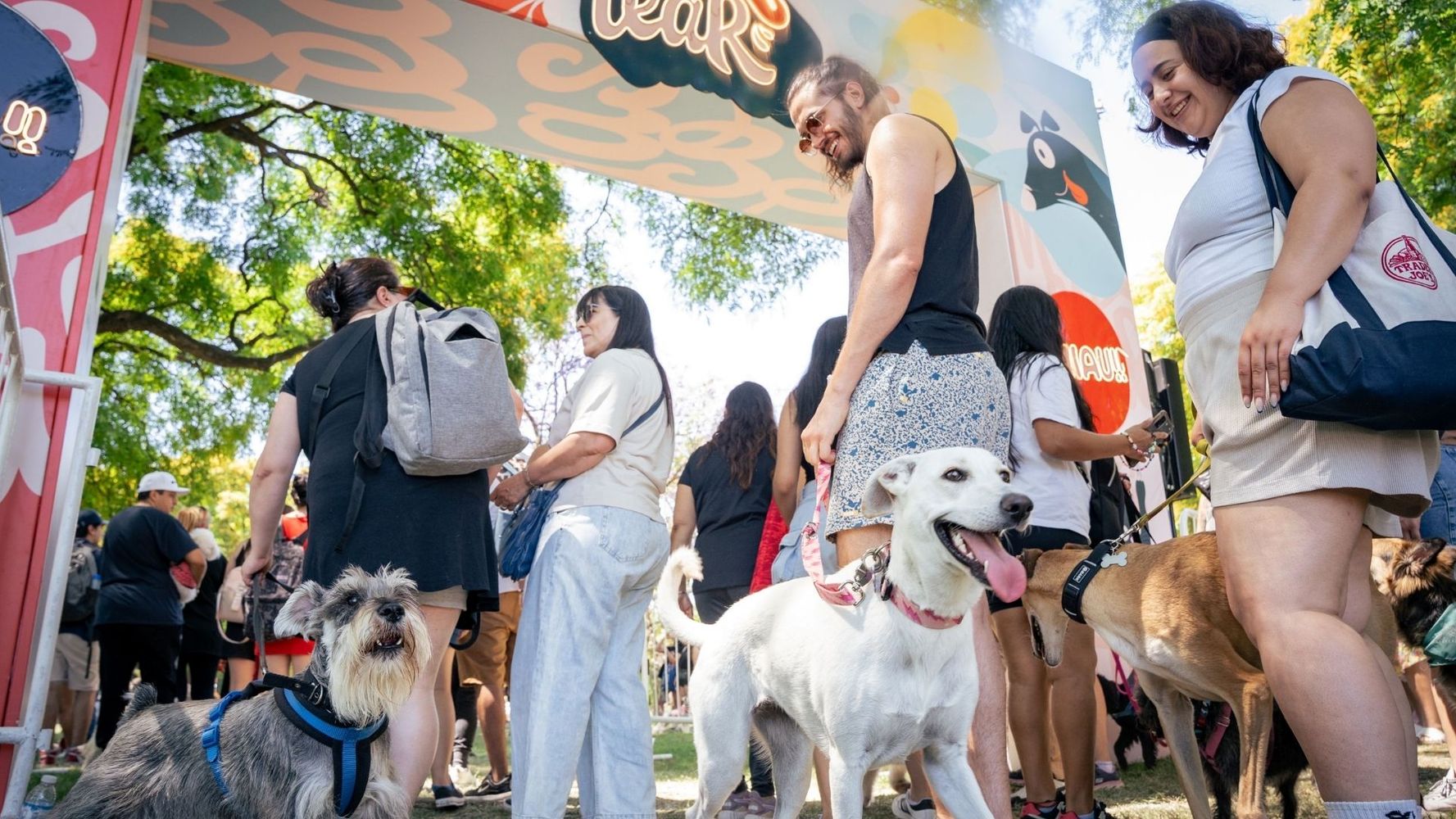 Llega el Festival Mascotear.