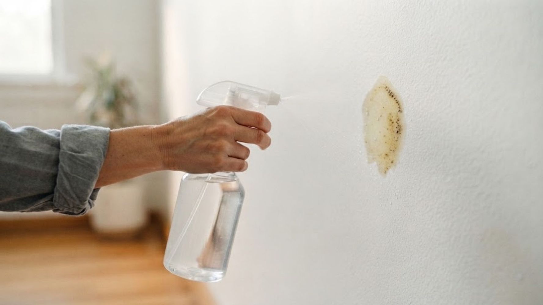 El truco para quitar las manchas de humedad de manera casera y efectiva