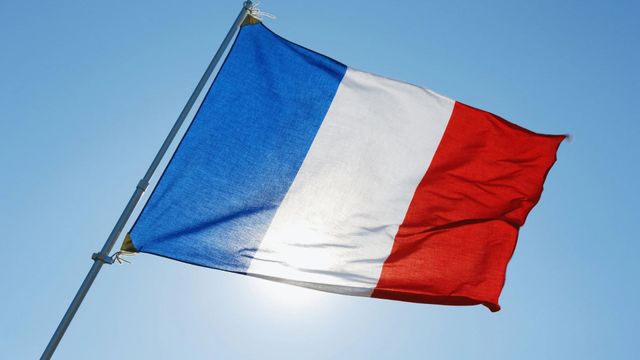 Murió la primera persona infectada por el virus Shamonda en Francia: qué es, cuáles son sus síntomas y cómo se transmite