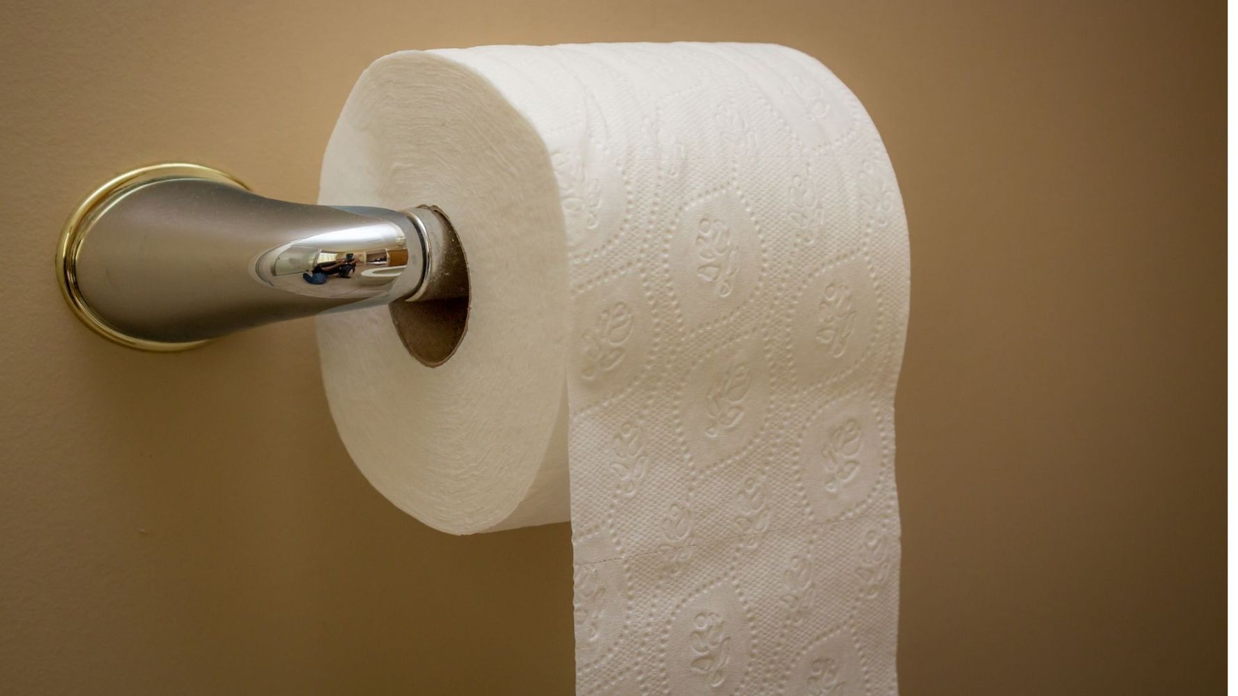 Cuál es la forma correcta de colocar el papel higiénico.