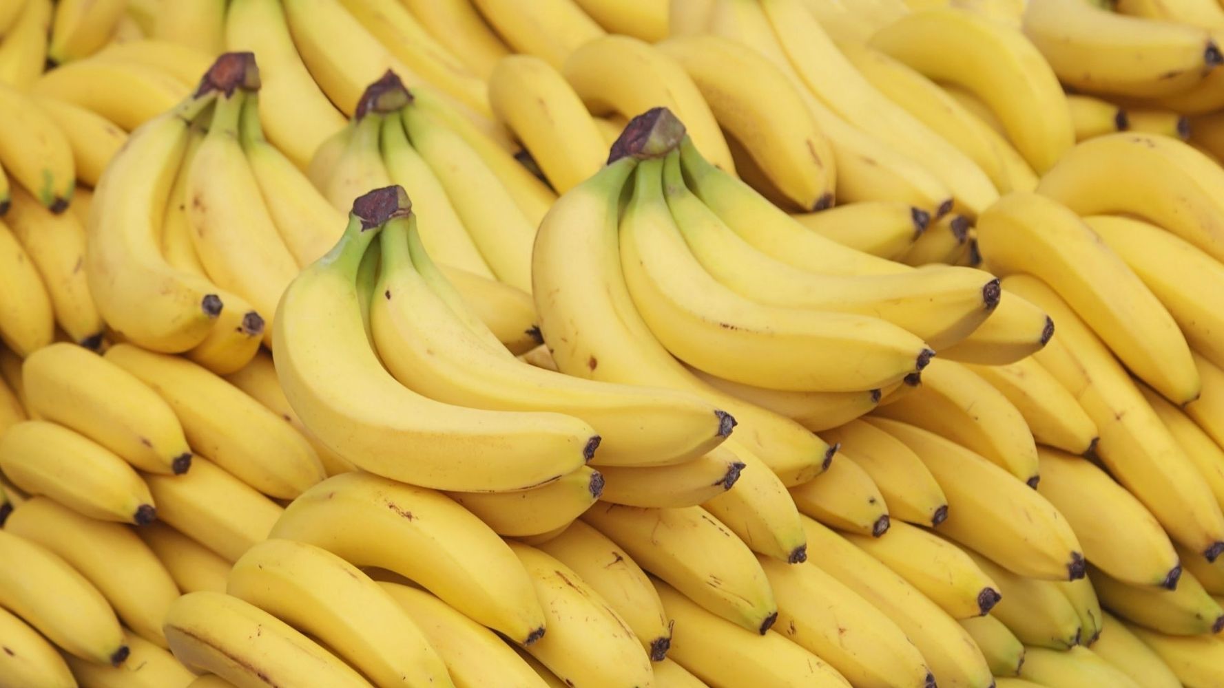 La clave para que las bananas duren más tiempo frescas.