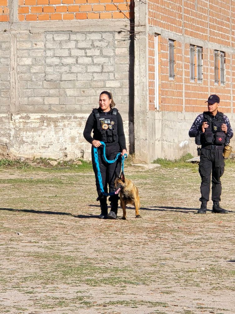 La División Canes de la Policía de Catamarca se sumó al operativo en el Ñuñorco, donde también trabajan bomberos de Monteros y Gendarmería.
