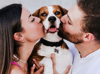 Qué son las parejas DINKWAD, la relación que es tendencia en la Argentina