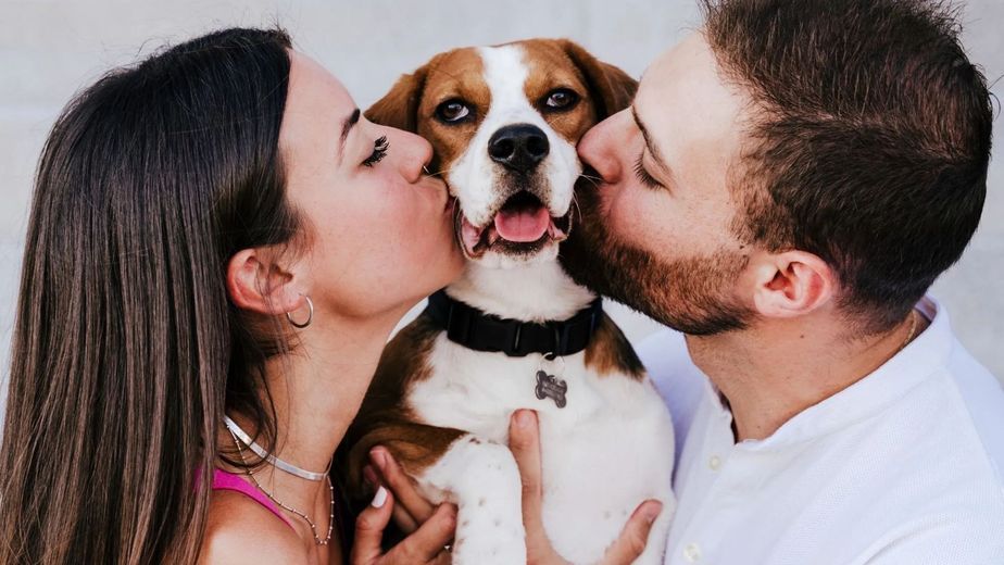 Qué son las parejas DINKWAD, la relación que es tendencia en la Argentina